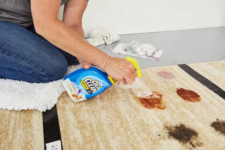 Floor cleaning and stain removal services