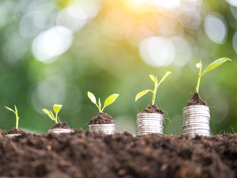 Green venture capitalist